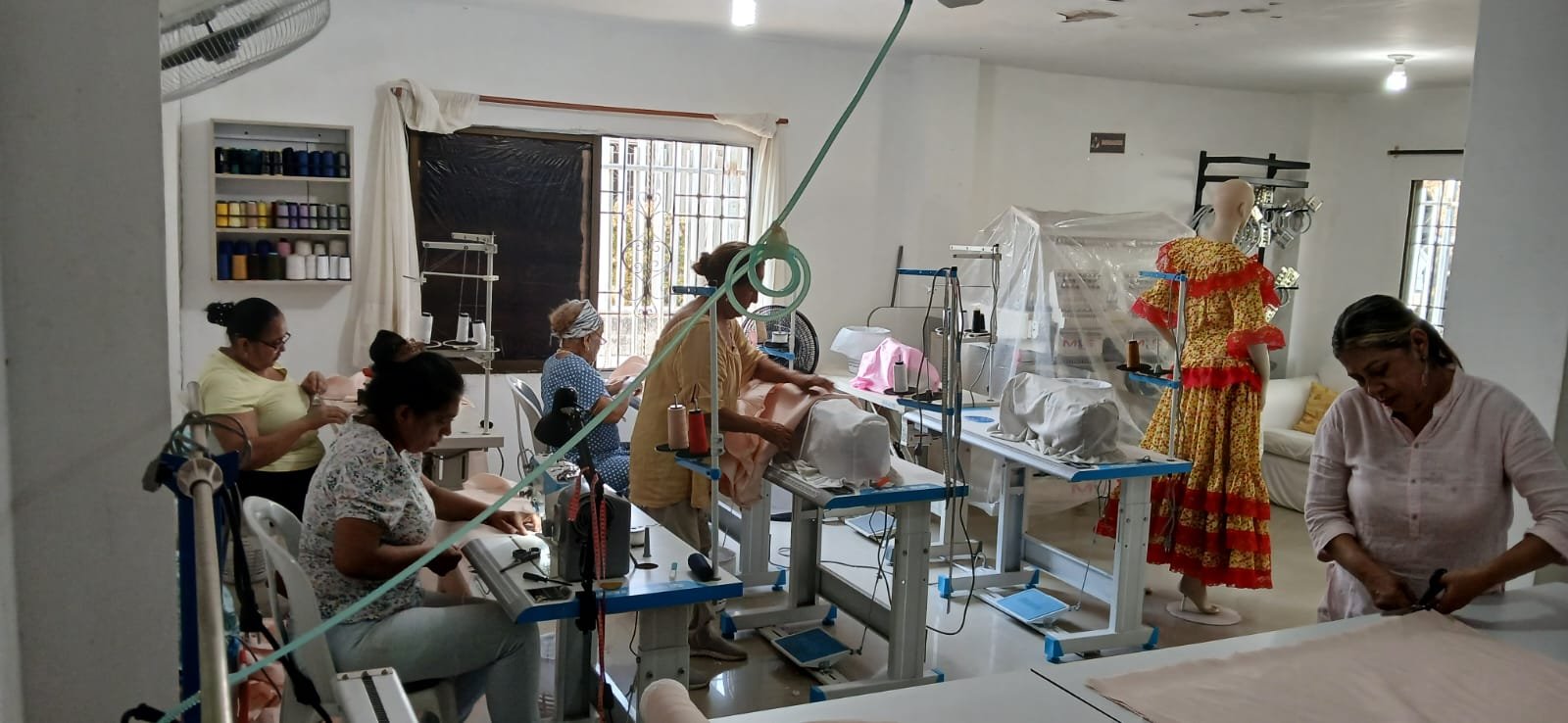 WhatsApp Image 2025-05-02 at 5.16.25 PM